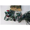 Image 3 : Christmas Lights - Untested