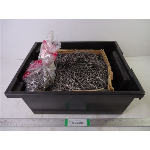 Large Plastic Container of 1.5" Nails