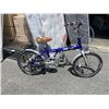 Image 1 : RAYLIGHT AMBASSADOR FOLDING BIKE