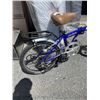 Image 2 : RAYLIGHT AMBASSADOR FOLDING BIKE