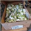 Image 2 : 3 BOXES OF FLOWER CANDLE RINGS