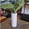 Image 3 : ARTIFICIAL PLANT IN VASE