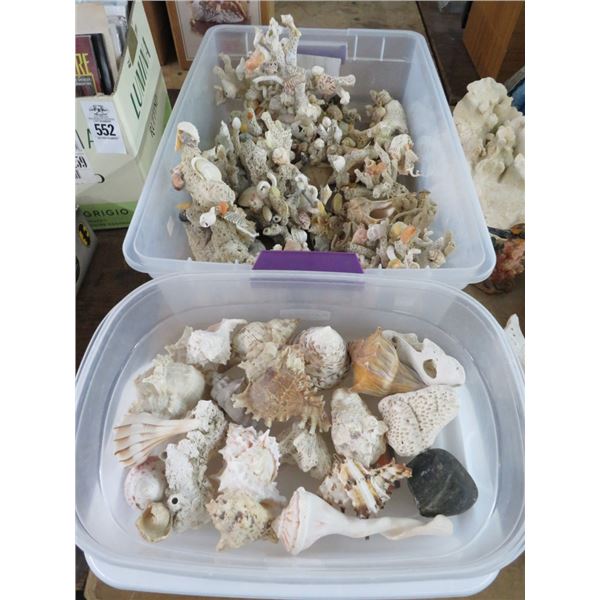 Coral and Shell Décor - 3 Bins