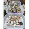 Image 1 : Coral and Shell Décor - 3 Bins