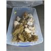 Image 1 : Conch Shell and Sponge Décor In Bin