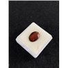 Image 2 : Natural Garnet 5.235ct  Oval Cut-VS-Brazil Untreated