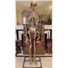 Image 1 : SCARY MOVIE 2 SKELETON PUPPET SCREEN MATCHED ANIMATRONIC SCREAMING EVIL DEAD ARMY OF DARKNESS PARODY