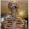 Image 4 : SCARY MOVIE 2 SKELETON PUPPET SCREEN MATCHED ANIMATRONIC SCREAMING EVIL DEAD ARMY OF DARKNESS PARODY
