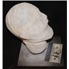 Image 2 : STARSHIP TROOPERS ARACHNID BUG SILK WRAPPED HEAD FROM ORIGINAL TRAILER