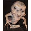 Image 1 : STAR TREK RENEGADES COSMO'S BAR ALIEN PUPPET
