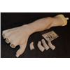 Image 1 : SALEM'S LOT BLOODY SILICONE BARLOW VAMPIRE ARM WITH SEVERED FINGERS A