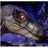 Image 5 : JURASSIC WORLD LIVE VELOCIRAPTOR HEAD FROM STAGE PUPPET