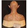 Image 3 : ALIEN FULL HEAD HERO SILICONE MASK ON LIFE CAST BUST OOAK B