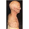 Image 4 : ALIEN FULL HEAD HERO SILICONE MASK ON LIFE CAST BUST OOAK B