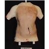 Image 1 : ZZ AMERICAN HORROR STORY SILICONE CHEST TORSO IMPALED WITH BLOOD SCREEN MATCHED