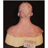 Image 3 : ALIEN FULL HEAD HERO SILICONE MASK ON LIFE CAST BUST OOAK G