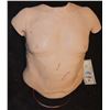 Image 1 : ZZ BONES AND ALL SILICONE CHEST TORSO WITH BLOOD RIG WOUNDS AND SCARS