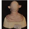 Image 3 : ALIEN FULL HEAD HERO SILICONE MASK ON LIFE CAST BUST OOAK I