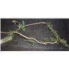 Image 1 : GUARDIANS OF THE GALAXY LARGE GROOT BRANCH WITH LEAVES AND FLOWERS SCREEN USED A