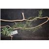 Image 1 : GUARDIANS OF THE GALAXY LARGE GROOT BRANCH WITH LEAVES AND FLOWERS SCREEN USED B