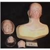 ALIEN FULL HEAD HERO SILICONE MASK ON LIFE CAST BUST OOAK M