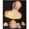 ALIEN FULL HEAD HERO SILICONE MASK ON LIFE CAST BUST OOAK M