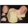 Image 2 : ALIEN FULL HEAD HERO SILICONE MASK ON LIFE CAST BUST OOAK M