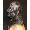 Image 2 : ALIEN ORC COWL AND FACIAL APPLIANCES ON LIFE CAST BUST A