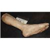 Image 2 : SEVERED SILICONE LEG WITH GORE AND BONES