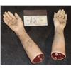 Image 1 : SEVERED SILICONE PAIR OF FEMALE ARMS WITH GORE AT STUBS