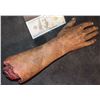 Image 1 : SEVERED SILICONE TORN OFF ARM WITH ARMATURED FINGERS