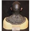 Image 3 : ALIEN ORC COWL AND FACIAL APPLIANCES ON LIFE CAST BUST D