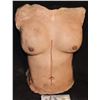 Image 1 : SURGERY SILICONE AUTOPSY FEMALE CHEST TORSO WITH NICE BREASTS