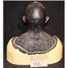 Image 3 : ALIEN ORC COWL AND FACIAL APPLIANCES ON LIFE CAST BUST E