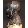 Image 2 : ALIEN ORC COWL AND FACIAL APPLIANCES ON LIFE CAST BUST F