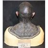 Image 3 : ALIEN ORC COWL AND FACIAL APPLIANCES ON LIFE CAST BUST G