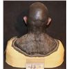 Image 3 : ALIEN ORC COWL AND FACIAL APPLIANCES ON LIFE CAST BUST H