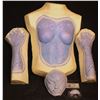 Image 1 : ALIEN IRIDESCENT FEMALE SILICONE FACE TORSO AND ARMS C