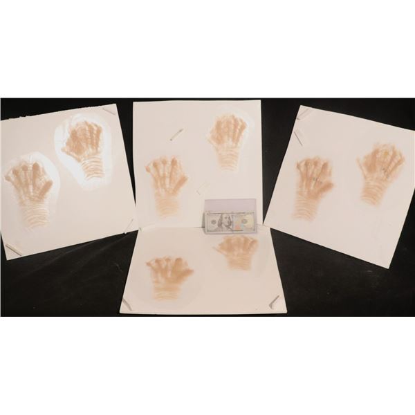 ZOMBIE MUMMY ALIEN CREATURE HAND TRANSFERS LOT OF 4 MATCHED PAIRS