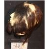 Image 2 : THE MONKEY KING LACE MATTE WIG WITH FACIAL HAIR SUPER HERO B