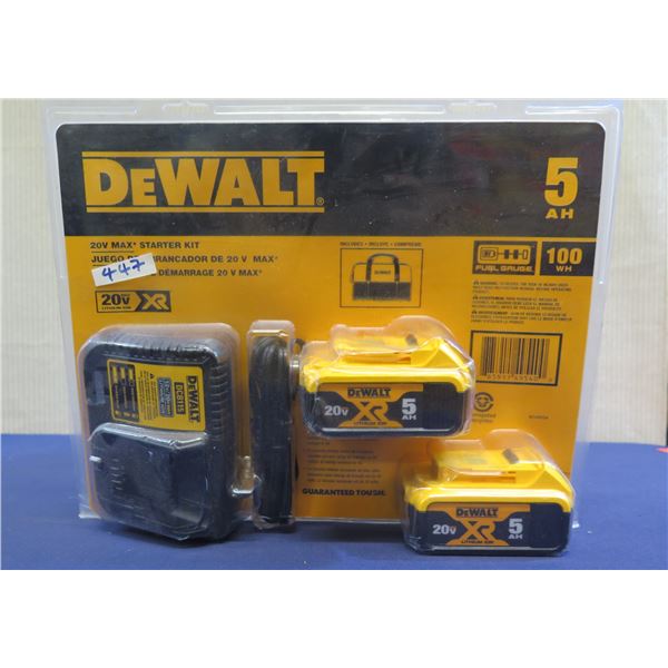 DeWalt DCB205-2CK 20V Max Starter Kit in Package