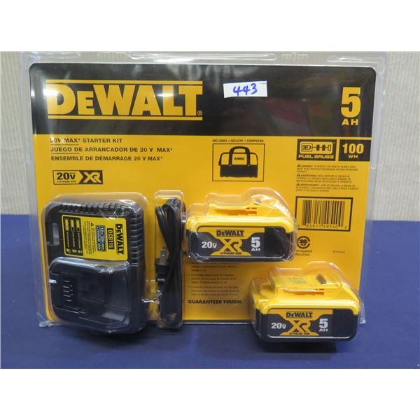 DeWalt DCB205-2CK 20V Max Starter Kit in Package