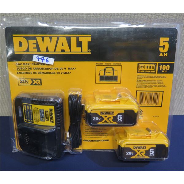 DeWalt DCB205-2CK 20V Max Starter Kit in Package