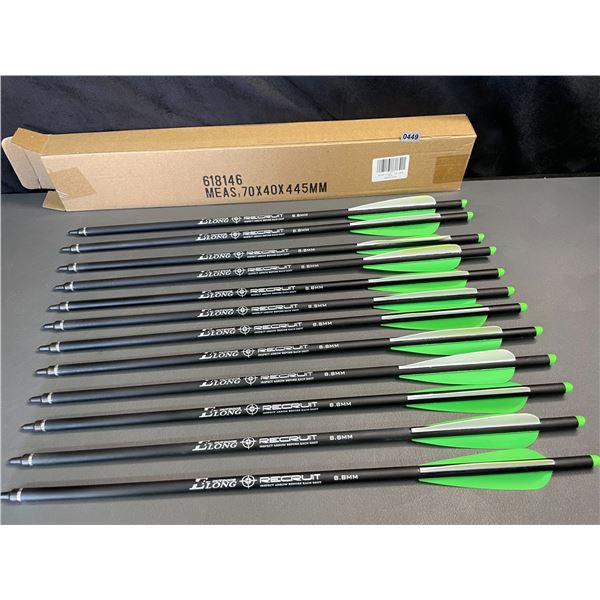 Lot of 1 12-Pack of 20-inch Carbon Crossbow Bolts - Brand New