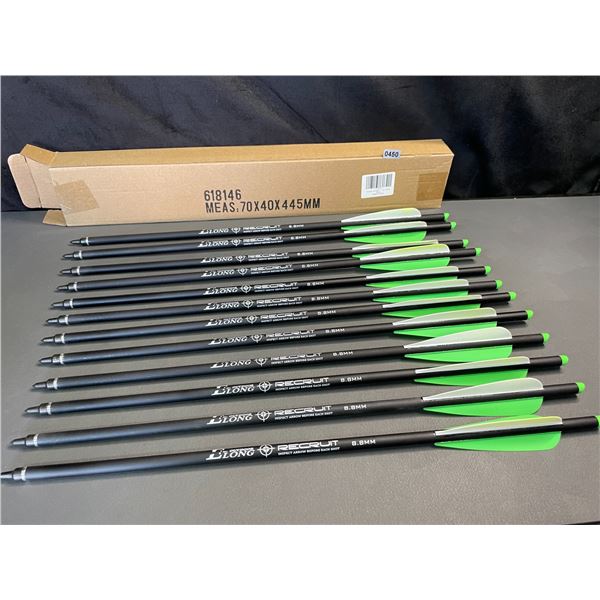 Lot of 1 12-Pack of 20-inch Carbon Crossbow Bolts - Brand New