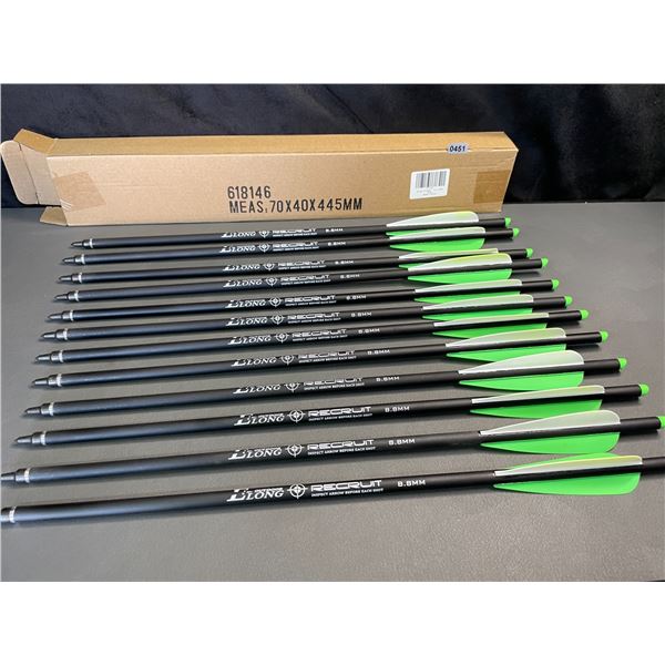 Lot of 1 12-Pack of 20-inch Carbon Crossbow Bolts - Brand New