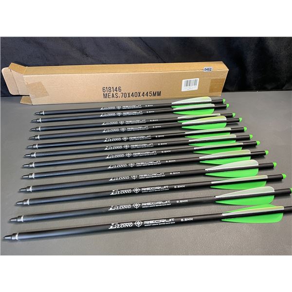 Lot of 1 12-Pack of 20-inch Carbon Crossbow Bolts - Brand New