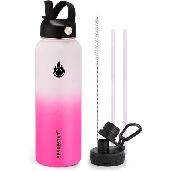 Lot of 1 Sendestar Double Wall Stainless Steel Insulated Water Bottle - Large 1.2L (40oz)