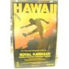 Image 9 : Lot of 15 various posters and prints: some water damaged, rare and unusual (165)