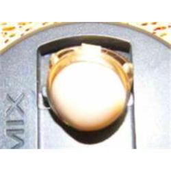 Rose gold shell ring (74)